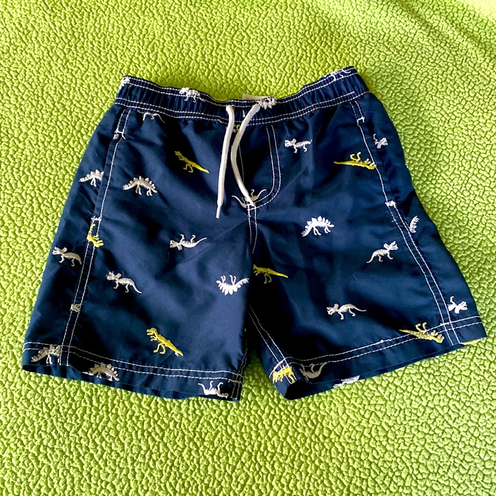 Dinosaur Bathing Suit